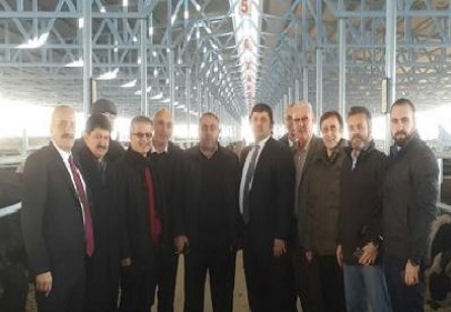Besilik hayvan materyali ithalatında sürekli ve yeterli hayvan temini sağlanamıyor