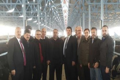 Besilik hayvan materyali ithalatında sürekli ve yeterli hayvan temini sağlanamıyor