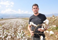 Beyaz altın üreticisi kara kara düşünüyor