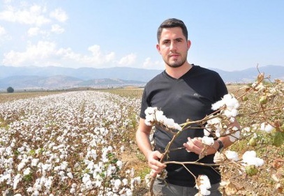 Beyaz altın üreticisi kara kara düşünüyor