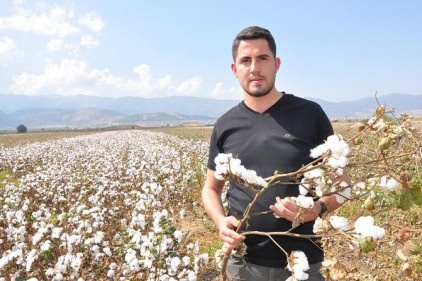 Beyaz altın üreticisi kara kara düşünüyor