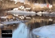Beyaz gelincik Kars'ta görüntülendi