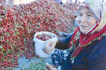 Biber çöpü temizleyerek çocuk okutuyorlar