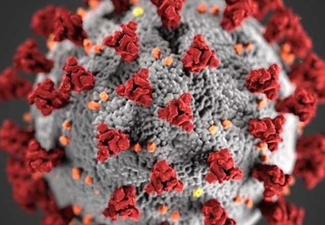 Bilim insanları uyardı: Covid-19 bunun yanında hafif kalacak