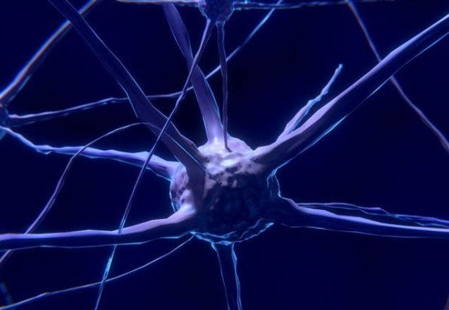 Bilim insanlarından çığır açıcı çalışma: Beyin ışınlama