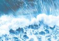 Bilim insanlarından 'yüzyılın felaketi' uyarısı