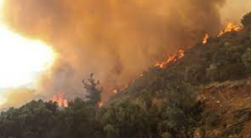 Bilim insanlarının raporu: Manavgat için 6 yıl önce uyarı yapılmış