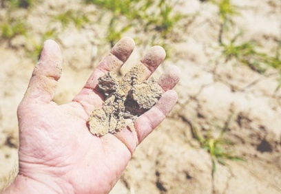 ‘Bilinçli tarım yapılmalı, suyun döngüsü ilkesi uygulanmalı’