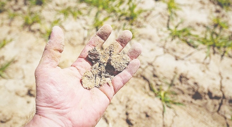 ‘Bilinçli tarım yapılmalı, suyun döngüsü ilkesi uygulanmalı’