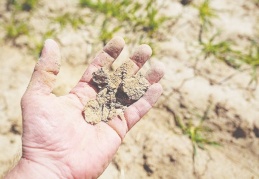 ‘Bilinçli tarım yapılmalı, suyun döngüsü ilkesi uygulanmalı’