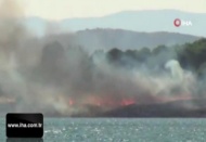 Bilinçsiz mangal yakımı az kalsın ormanı yakıyordu