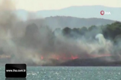 Bilinçsiz mangal yakımı az kalsın ormanı yakıyordu