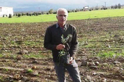 Bin adet bodur zeytin fidanı toprakla buluştu