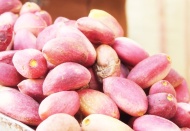 “Bir avuç fıstık, koronaya iyi gelir”