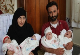 Bir batında dört tane birden doğuran bile var