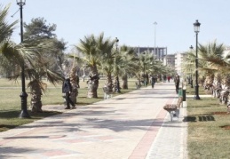 Bir gün kar yağdı, ardından bahar geldi