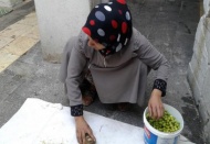 “Bir kilo zeytin kırmanın karşılığı 1 Lira!”