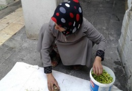 “Bir kilo zeytin kırmanın karşılığı 1 Lira!”