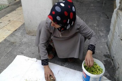 &#8220;Bir kilo zeytin kırmanın karşılığı 1 Lira!&#8221;