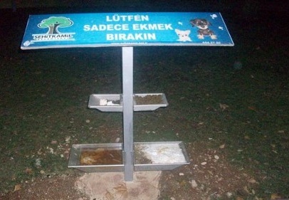 Bir parça ekmek bırakın yeter!