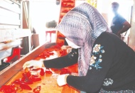 “Bir yıl yetecek kadar salça yaparız”