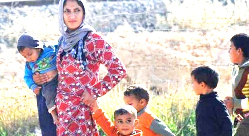 Bir yılda 182 kadın ve 359 çocuk katledildi