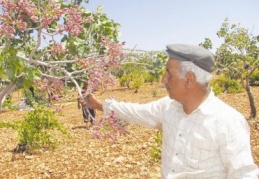Bırakın bu yıl da biraz üretici kazansın