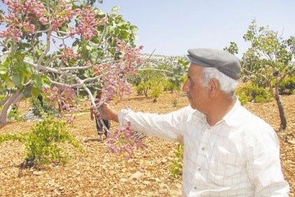 Bırakın bu yıl da biraz üretici kazansın