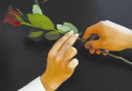 Birbirinize saygı göstermeye gayret edin