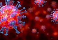 “Birinci dalganın üçüncü pikine hızla gidiyoruz”