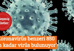 Birleşmiş Milletler: 'Koronavirüs benzeri 850 bin kadar virüs bulunuyor'