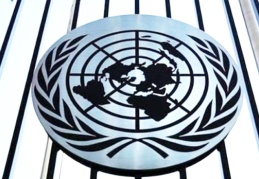 Birleşmiş Milletler’den Gergerlioğlu ve İstanbul Sözleşmesi için çağrı