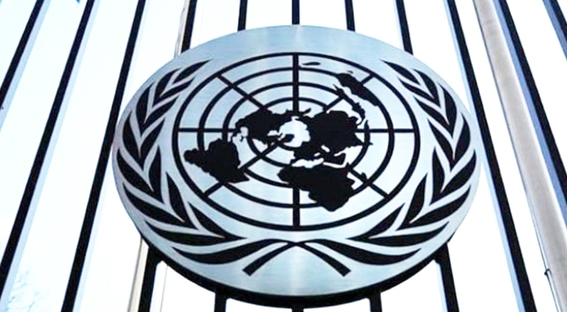 Birleşmiş Milletler’den Gergerlioğlu ve İstanbul Sözleşmesi için çağrı