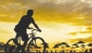 Bisiklet Türkiye’nin ilacı olabilir