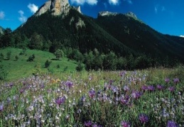 Biyolojik çeşitlilik kayıt altına alınıyor