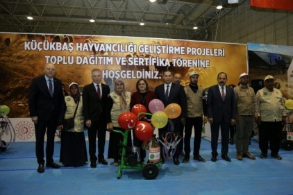 Biz gastronomi alanında sesimizi yükseltemeyiz