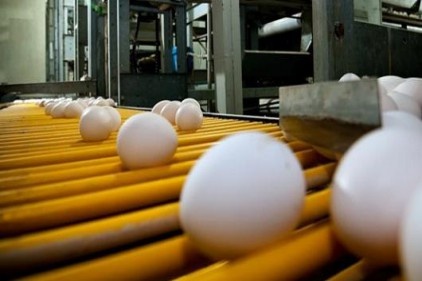 Biz yurt dışından yumurta almıyoruz