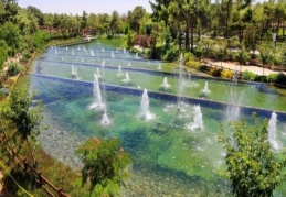 Bizim tek derdimiz millet ve milletimize hizmet etmek