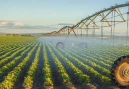 BM: Depremler Türkiye'nin tarım üretiminin en az beşte birine zarar verdi