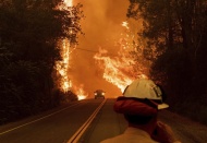 BM Genel Sekreteri Guterres: İnsanlık, doğaya savaş açmış durumda