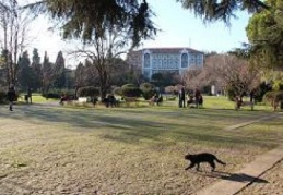 Boğaziçi Öğrencileri: Erdoğan Rektör seçimleri sonucuna saygı göstersin 