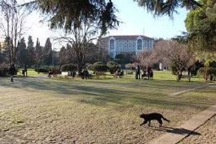 Boğaziçi Öğrencileri: Erdoğan Rektör seçimleri sonucuna saygı göstersin 