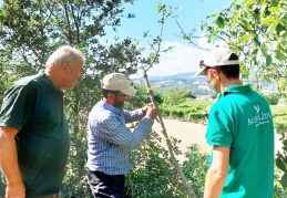 Boş ve atıl araziler Antep Fıstığı bahçelerine dönüyor