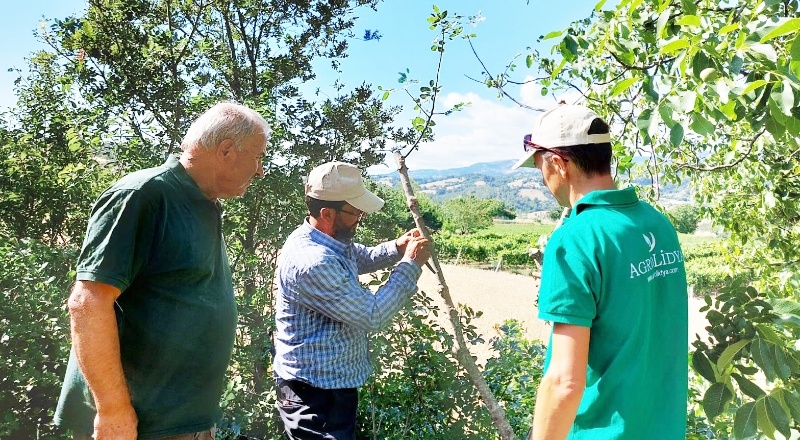 Boş ve atıl araziler Antep Fıstığı bahçelerine dönüyor