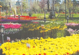 Botanik bahçelerinin önemi ve geleceği tartışılacak