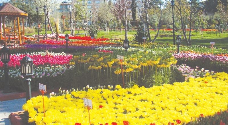 Botanik bahçelerinin önemi ve geleceği tartışılacak