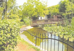 Botanik bahçesi, kente glenlerin ilgi alanlarından briri