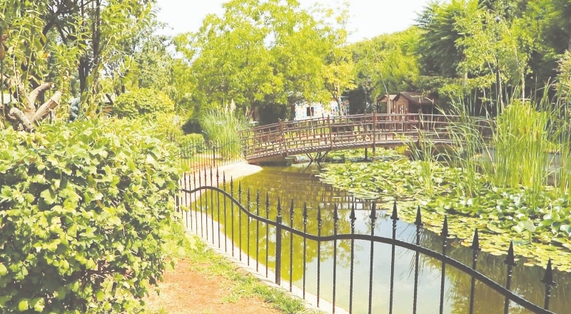 Botanik bahçesi, kente glenlerin ilgi alanlarından briri