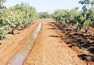 Böyle giderse kuraklıktan daha çok etkileneceğiz