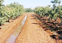 Böyle giderse kuraklıktan daha çok etkileneceğiz